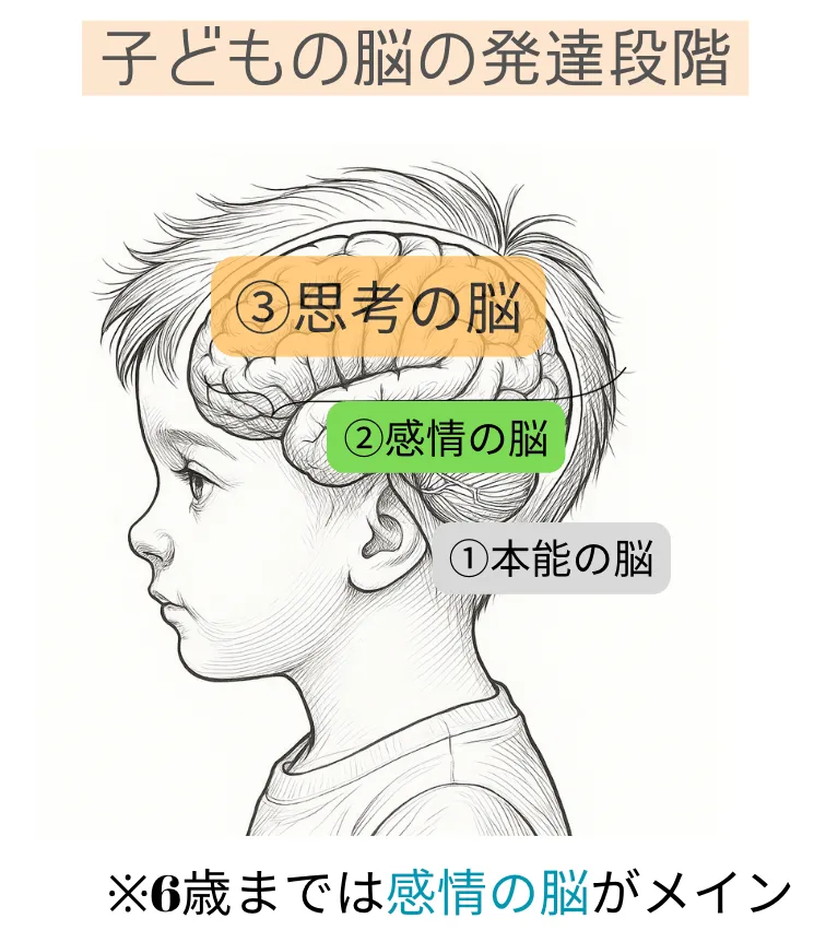 ご存知ですか？ まなざしで育てる 0〜6歳の「脳の土台」